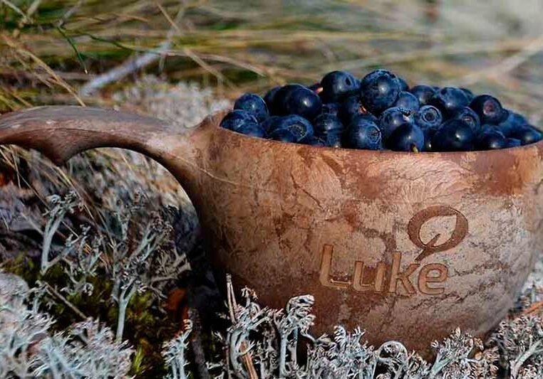 Finlandia Foundation Boston Chapter