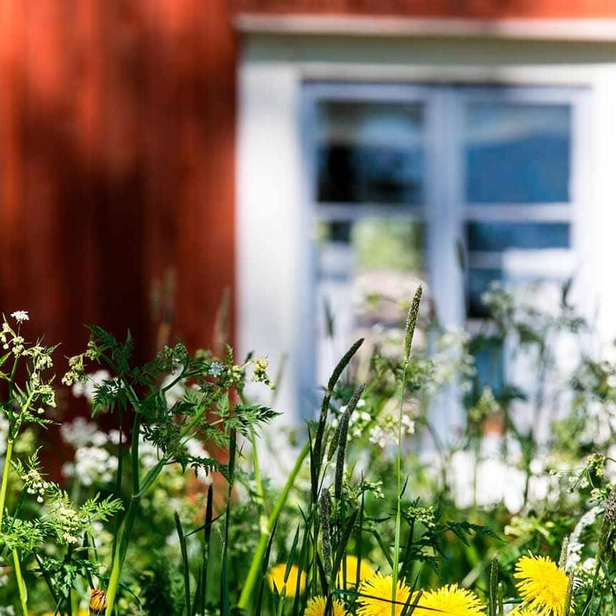 Finlandia Foundation Boston Chapter